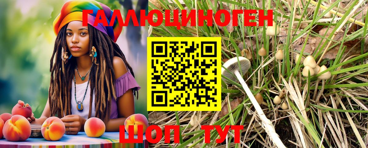 Псилоцибиновые грибы прущие грибы Югорск